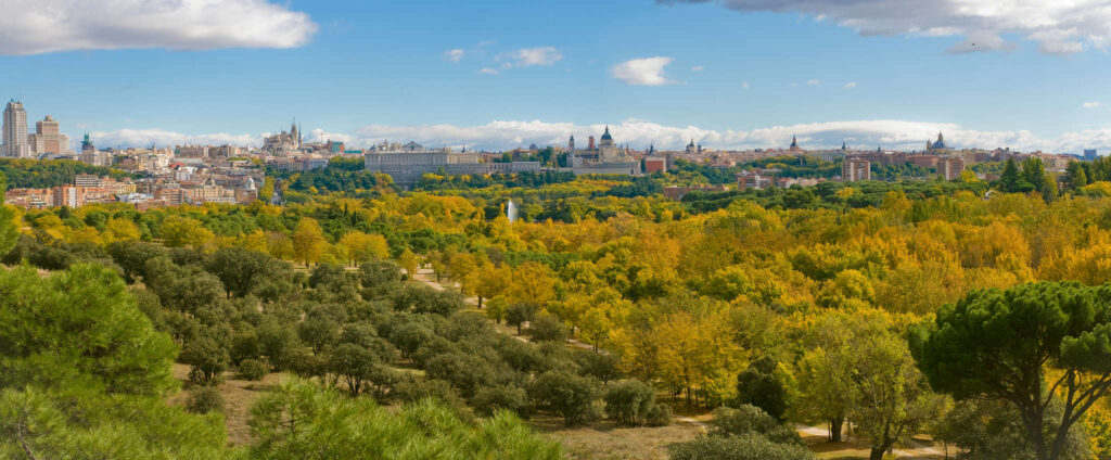 descubre la importancia del campo en madrid, su impacto en la economía, el medio ambiente y la calidad de vida de los habitantes. conoce cómo el entorno rural madrileño contribuye al desarrollo sostenible de la región.