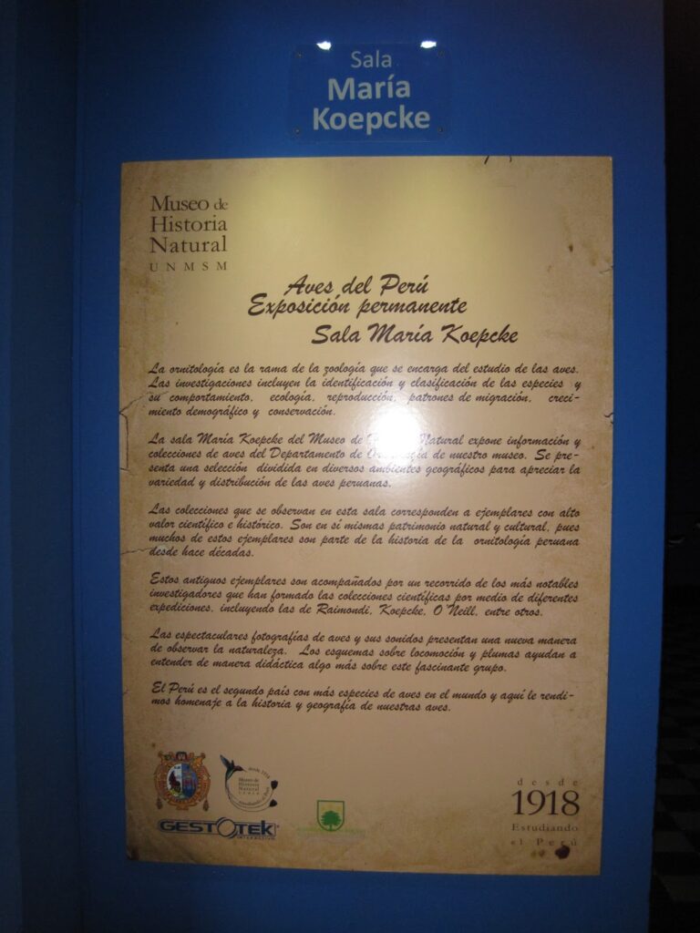 descubre las mejores estrategias y tecnologías para la protección de museos de historia, garantizando la seguridad del patrimonio cultural y la conservación de valiosas colecciones.