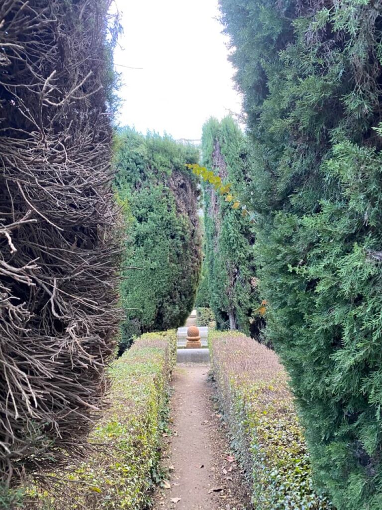 descubre la rehabilitación de los jardines de sabatini, un proyecto que combina historia, arte y sostenibilidad en uno de los espacios verdes más emblemáticos de madrid. información sobre mejoras, objetivos y novedades.