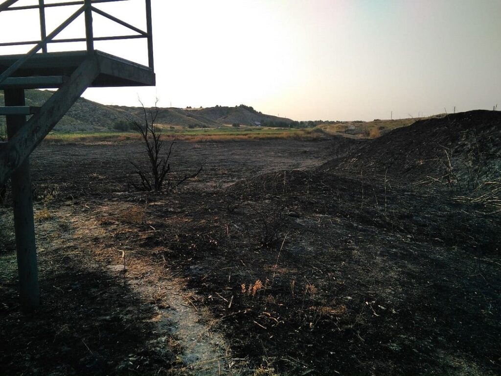 últimas noticias sobre la declaración de desastre en aranjuez: impacto, causas y medidas adoptadas por las autoridades para apoyar a los afectados y restaurar la normalidad en la región.