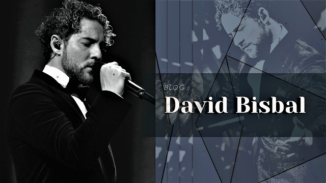 disfruta del tren encantado de navidad en la línea 3 con la voz mágica de david bisbal. vive una experiencia festiva inolvidable llena de música y encanto navideño.