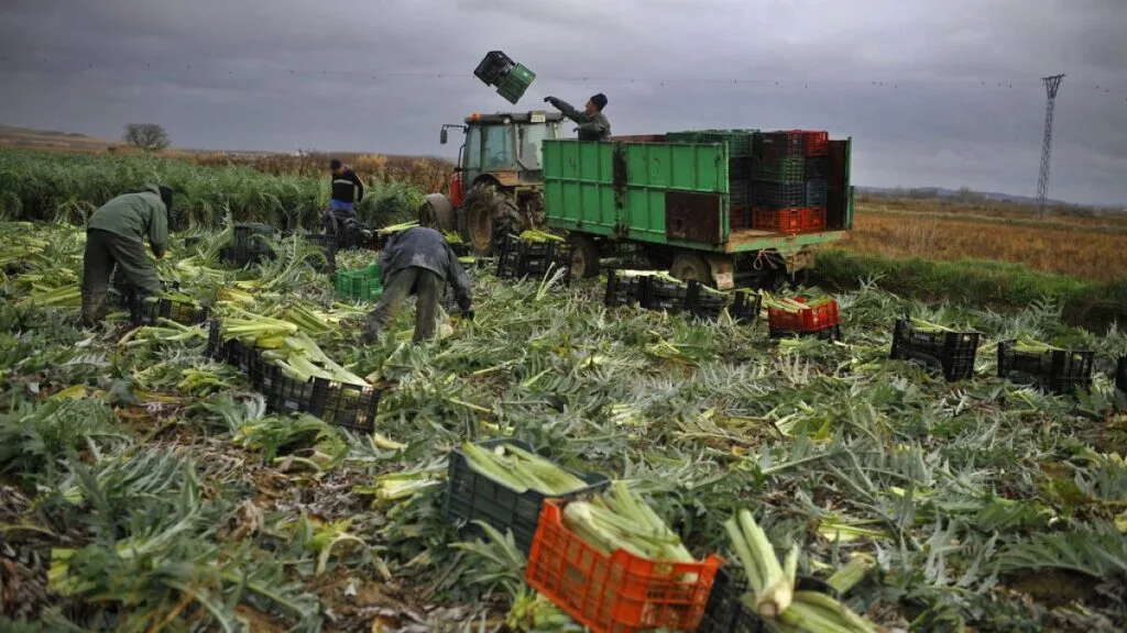 agricultores movilizados en estrasburgo protestan contra el acuerdo mercosur, demandando protección para el sector agrícola y políticas justas.
